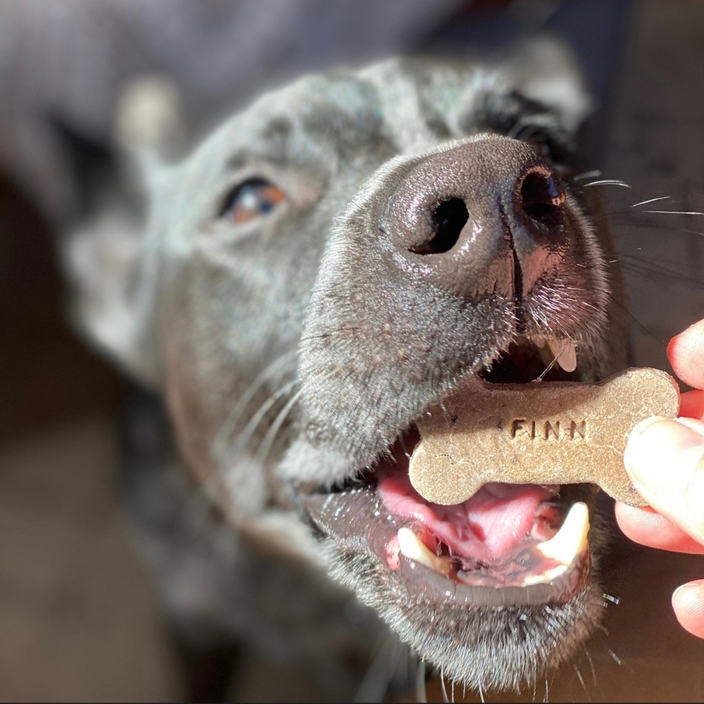 Personalized Homemade Dog Treats